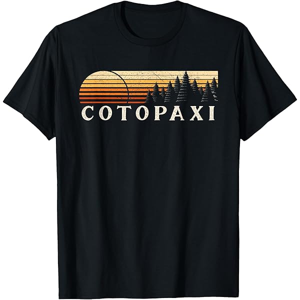 Amazon.com: Honda, CA Vintage Evergreen Sunset Eighties